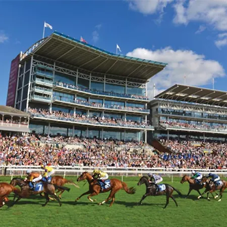 Entire Home/free Parking /racecourse *